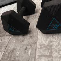 coppia manubri decathlon 7.5