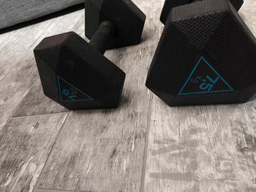 coppia manubri decathlon 7.5