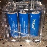 pacco lTo 45ah yinlong 