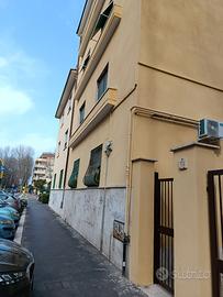 Bilocale con giardino a ostia