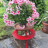 porta vaso in ferro , pezzo unico