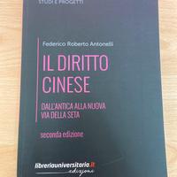 Libro il diritto cinese