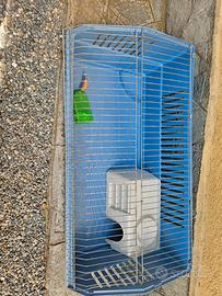 gabbia per coniglio nano