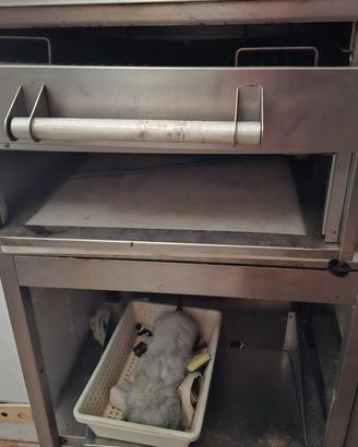 forno elettrico