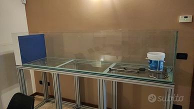 acquario paludario terrario 