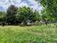 Immagine 26