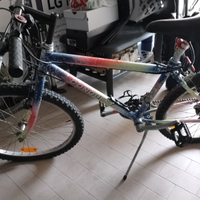 Mountain bike
