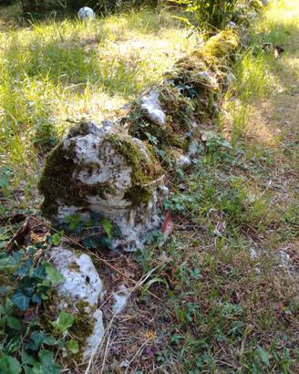 Sassi in pietra per giardino roccioso