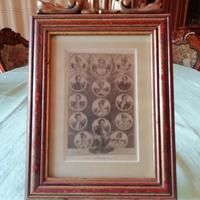 La famiglia Imperiale