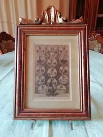 La famiglia Imperiale