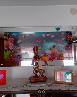 quadro acquario 