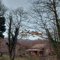 Chalet sull'Etna - Castagno dei Cento Cavalli
