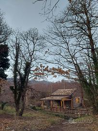 Chalet sull'Etna - Castagno dei Cento Cavalli