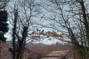 Chalet sull'Etna - Castagno dei Cento Cavalli