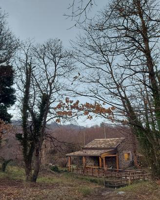 Chalet sull'Etna - Castagno dei Cento Cavalli