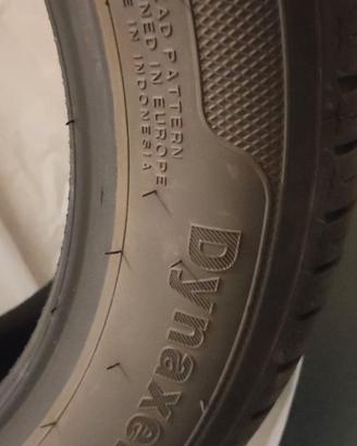 Gomme estive