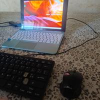 ASUS Vivobook Go