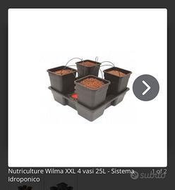 2 Atami Wilma XXL + Secret Jardin 120x240
