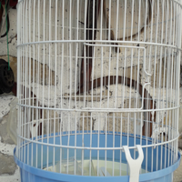 Gabbietta cilindrica