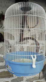 Gabbietta cilindrica