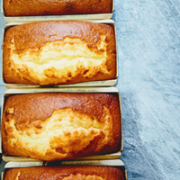 Pasticcere rosticcere gelatiere