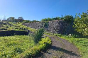 Rif.PS101B| terreno agricolo acireale