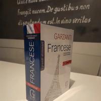 dizionario garzanti francese