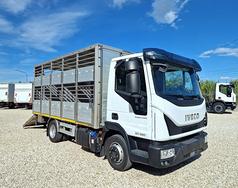 IVECO EUROCARGO 80E22 P E6 CASSA BESTIAME