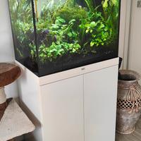 Acquario JUWEL RIO 120