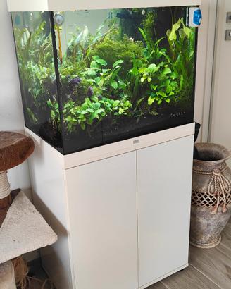 Acquario JUWEL RIO 120