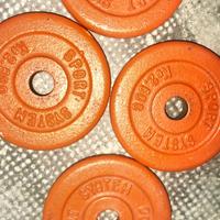 Dischi 2,5 kg sport System