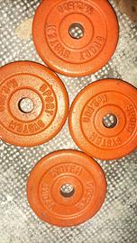 Dischi 2,5 kg sport System