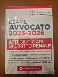 Atti giudiziari esame avvocato 2026