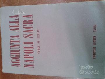 Aggiunta alla napoli sacra