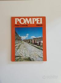 Libro “Pompei” di Connelly