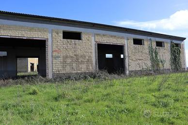 Commerciale Altro - Ragusa