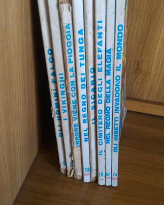 LOTTO FUMETTI AKIM