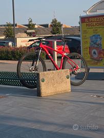 bicicletta mountain bike usata