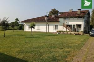 CASA SINGOLA IMMERSA NEL VERDE - UNA VERA OASI ...