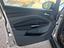 Immagine 11