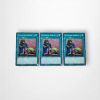 X3 Riccastro Goblin Comune (SRL), 25th