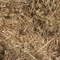 Balle fieno e paglia di grano stelo lungo