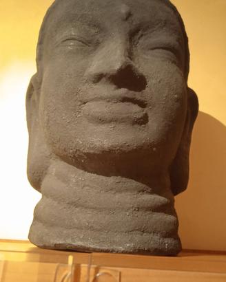 Statua testa di Buddha