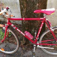 Bicicletta Willer Triestina 