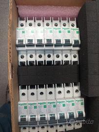 14 MAGNETOTERMICI  C 2    1 POLO   10KA