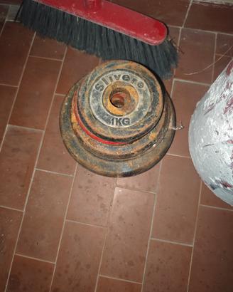 15 kg dischi in ghisa