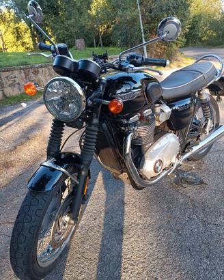 Triumph Bonneville T120  Anno 2019 - KM 11.400