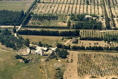 Investimento produttivo nel verde