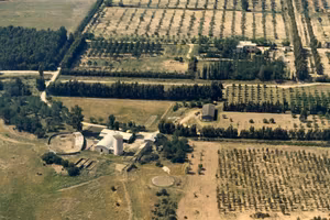 Investimento produttivo nel verde