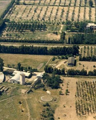Investimento produttivo nel verde